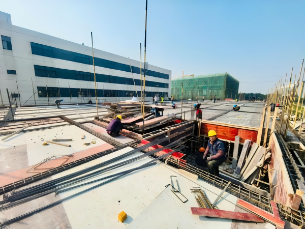 二期交付 2(1).png